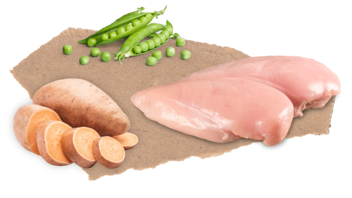 Nourish Rite Grain Free Adult Dog Food - Chicken