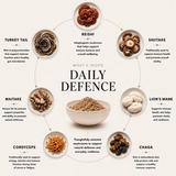 Truffle Hound Advanced Daily Defence 90g