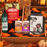 The Halloween Bundle