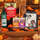 The Halloween Bundle