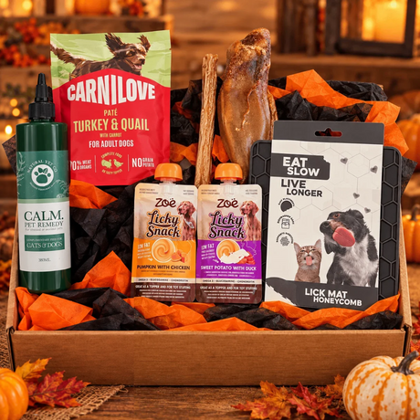 The Halloween Bundle