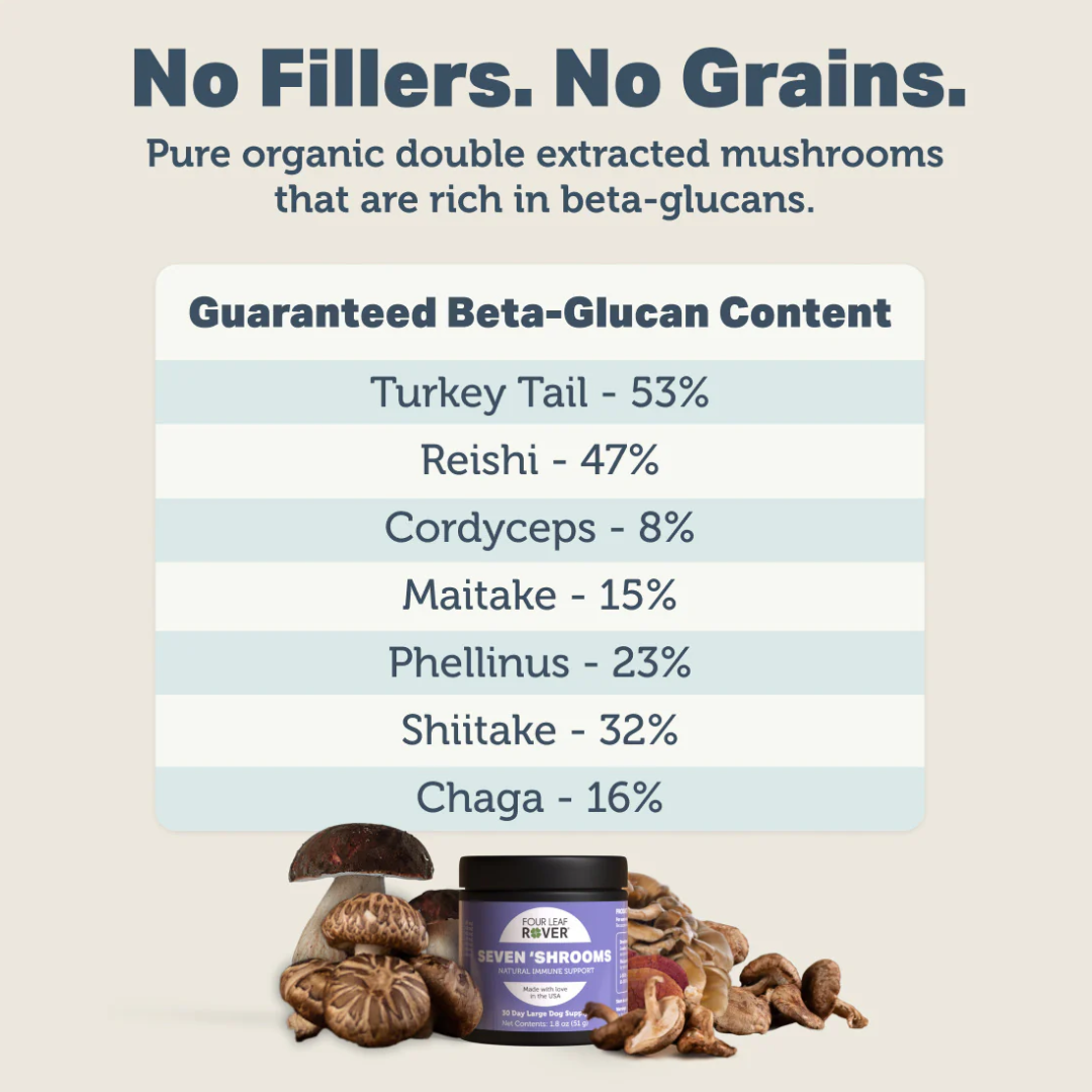 The make up of ingredients for the Four Leaf Rover - Immunity Seven Shrooms 51g