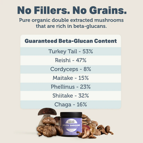 The make up of ingredients for the Four Leaf Rover - Immunity Seven Shrooms 51g