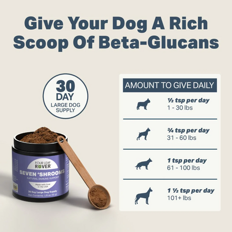 The  daily dosage for the Four Leaf Rover Seven Shrooms Supplement