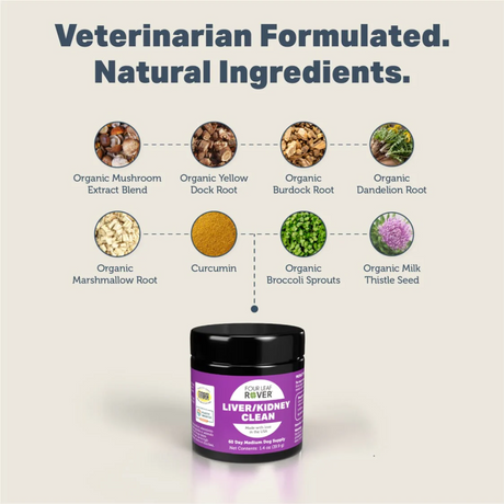 The ingredients of the Four Leaf Rover - Liver & Kidney Clean - Natural Detox Support for Dogs 39.9g listed. Each one has a small image of it it above the name.
