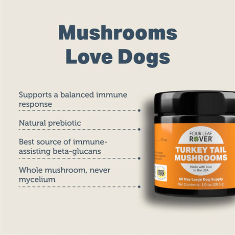 The key benefits of the Four Leaf Rover - Turkey Tail Mushroom for Dogs 28.5g