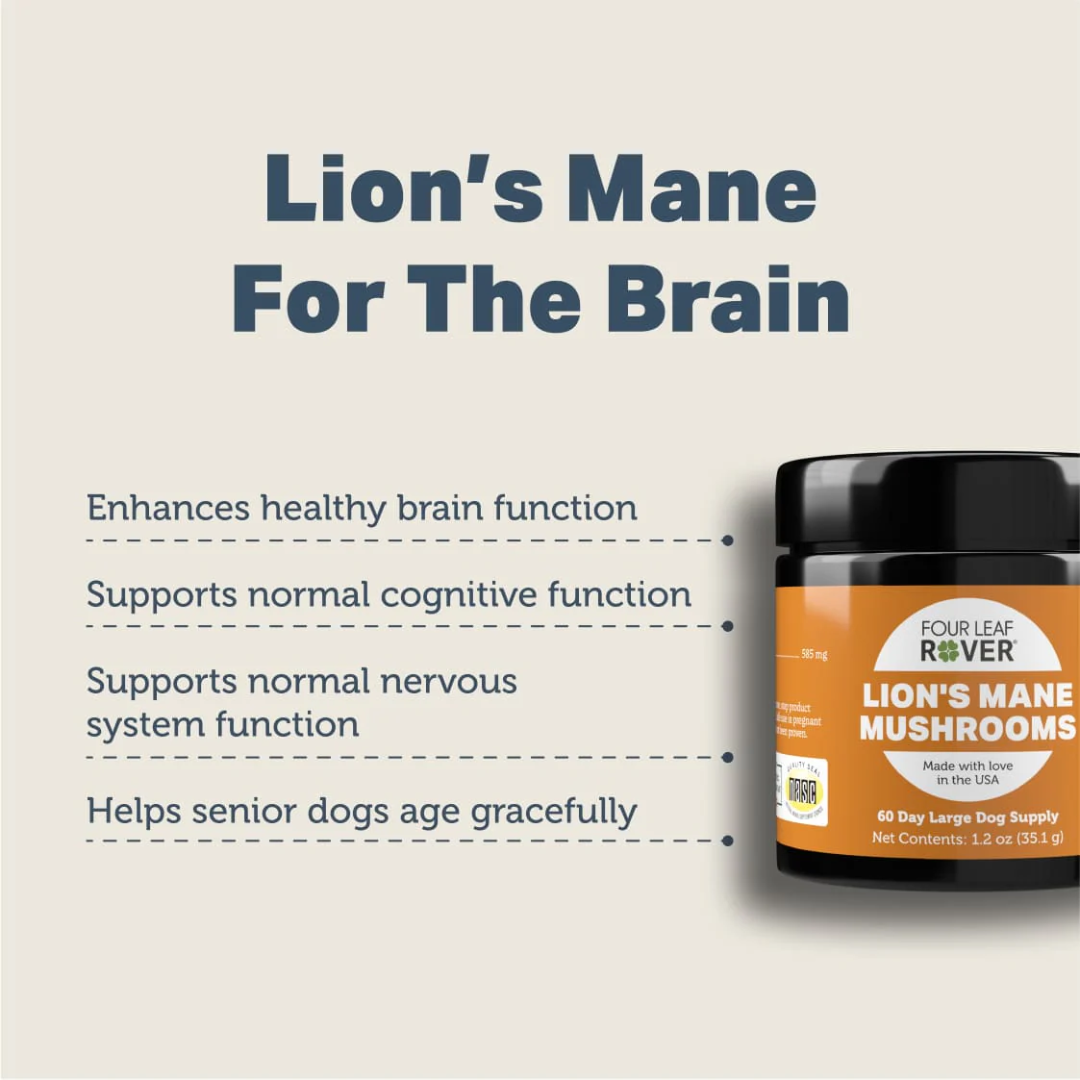 The key benefits for the Four Leaf Rover - Lion's Mane Mushroom for Dogs 35.1g