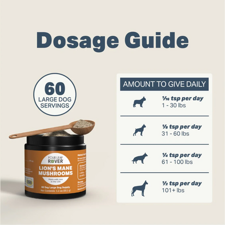 The daily dosage for the Four Leaf Rover - Lion's Mane Mushroom for Dogs 35.1g
