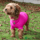 Ancol Cable Knit Jumper Pink