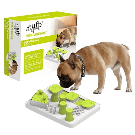 Dog puzzle toy with green and gray design, next to its packaging featuring a dog and the brand 'all for paws'.