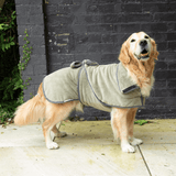 Dog wearing a green coat standing outside black brick wall in the background.