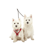 Bunty Dog Lead Splitter