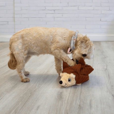 Kong Layerz Forage Hedgehog