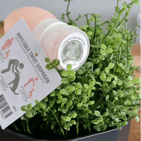 Squeezy Buddy - Refillable treat dispenser