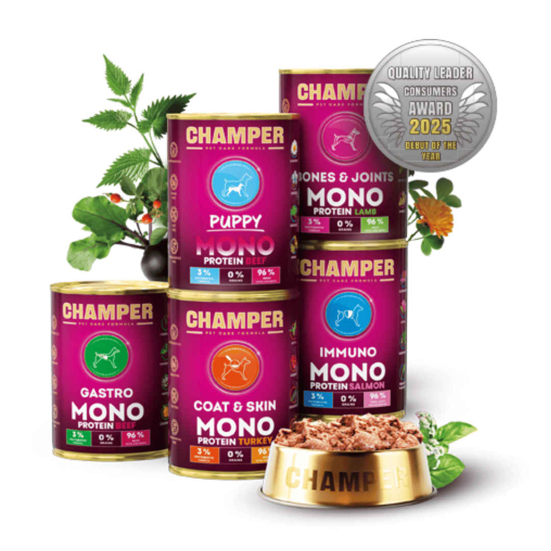 Champer Immuno Wet Dog Food