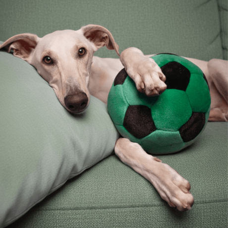 Fluff & Tuff Soccer Ball Plush Dog Toy