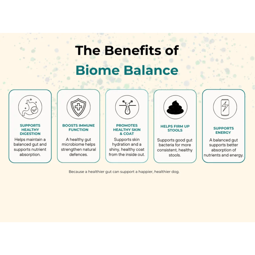 Barkin Bistro Supplements - Biome Balance 45g