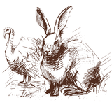 Illustration of a rabbit and a turkey standing close to each other on a white background