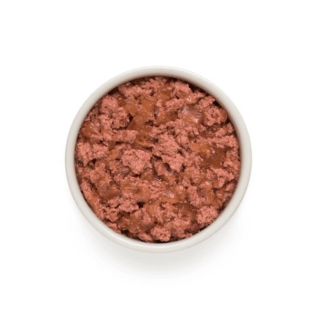 Grandorf Rabbit and Turkey Wet Food served in a white bowl