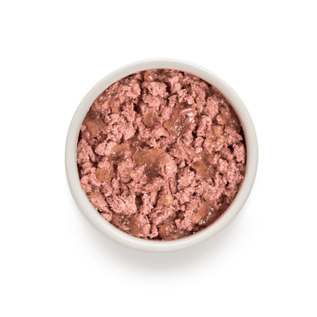 Grandorf Buffalo and Turkey Wet Food served in a white bowl