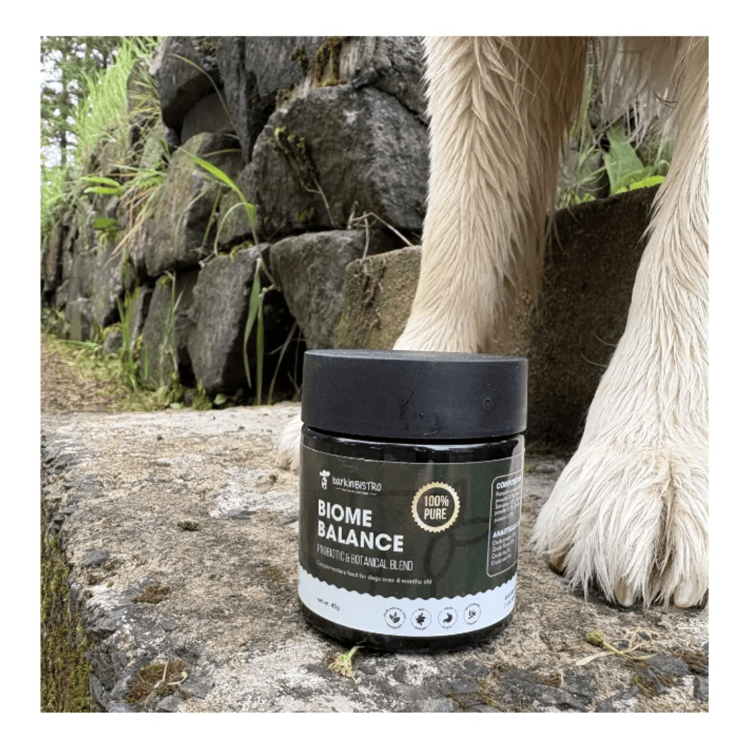 Barkin Bistro Supplements - Biome Balance 45g