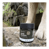 Barkin Bistro Supplements - Biome Balance 45g