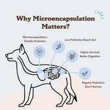 Natural Dog Company Probiotic Chews