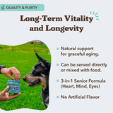 Natural Dog Company Senior Support Chews