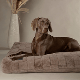 Dog lying on a Scruffs Oxford Ortho bed in silver with a vase in the background