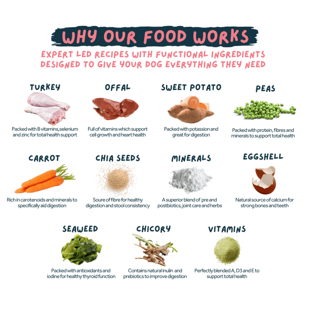 Wilsons Tender Turkey Fresh Dog Food