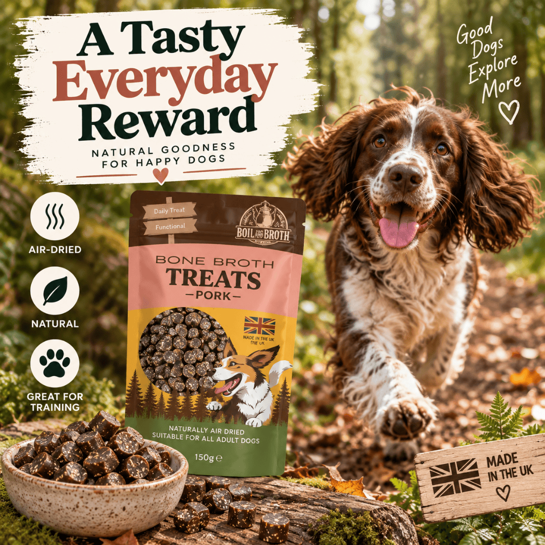 A promotional product image for Boil and Broth Bone Broth Treats in Pork, featuring a brown and white spaniel dog running in a forest background, a bowl of the treats, and the product pouch. Text overlays highlight 'A Tasty Everyday Reward' and 'Good Dogs Explore More'.