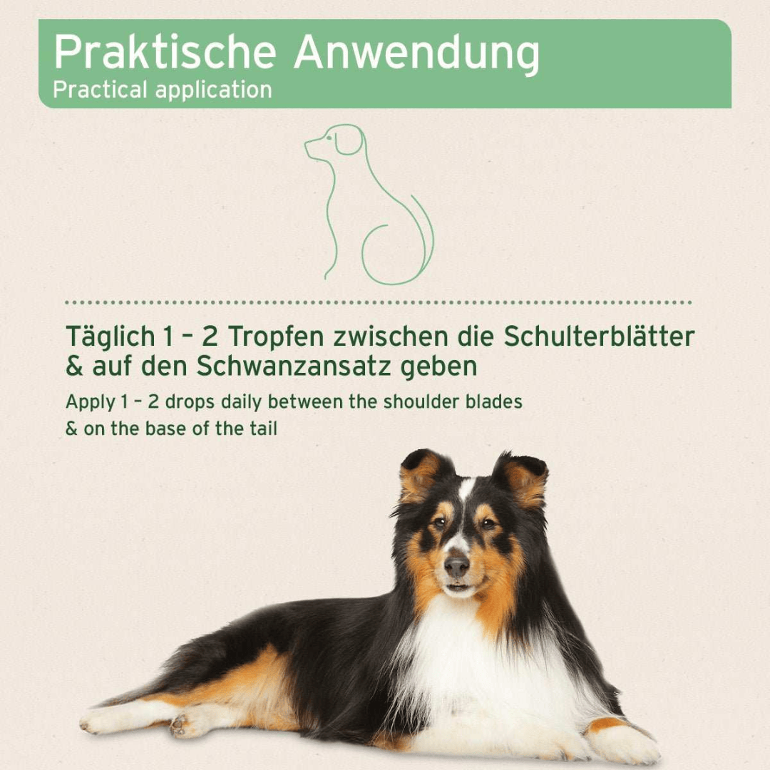 Aniforte Ectoprotex Spot-on for Dogs
