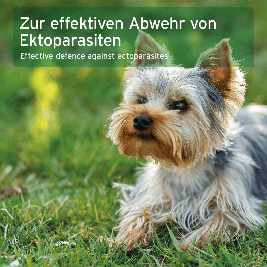Aniforte Ectoprotex Spot-on for Dogs