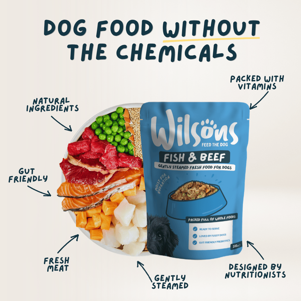 Wilsons Fresh Dog Food Bundle