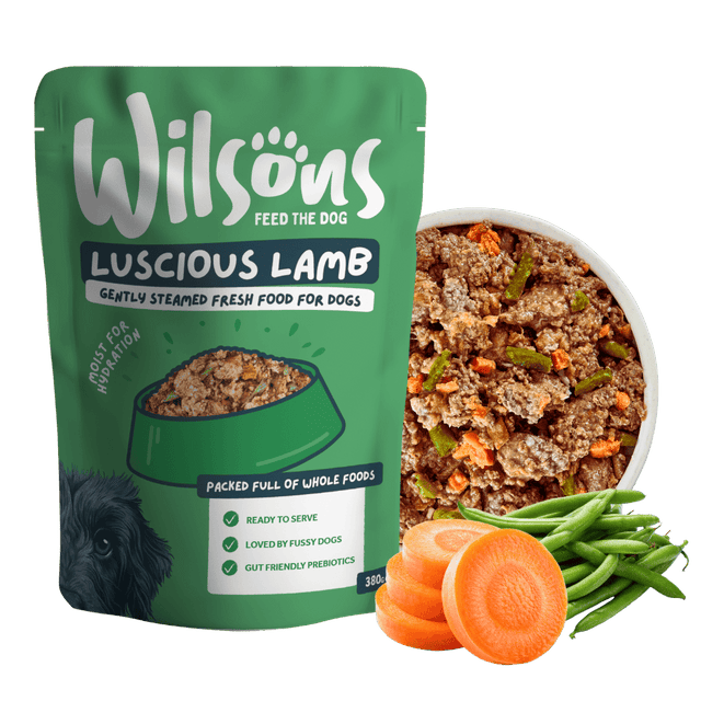 Wilson's Luscious Lamb dog food package with a bowl of dog food, carrots, and green beans on a white background