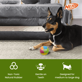 A black and tan Doberman dog lies on a beige carpet in a living room, next to a colorful NERF Dog ball. The background shows a gray dog bed.