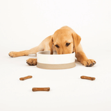 Scruffs Ceramic Non Tip Bowl - Cream
