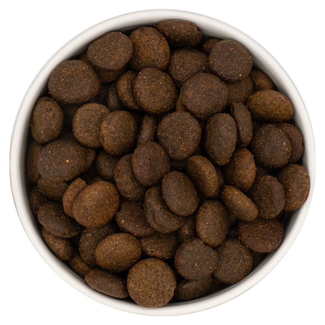 Nourish Rite Grain Free Large Breed Adult Dog Food - Salmon