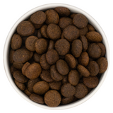 Nourish Rite Grain Free Large Breed Adult Dog Food - Salmon