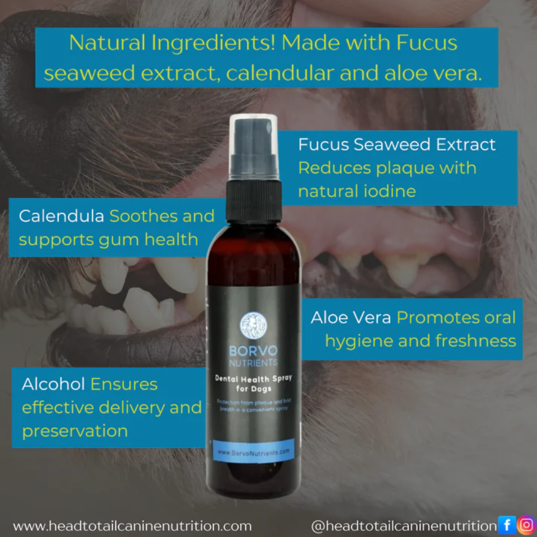 Borvo Nutrients Dental Health Spray's ingredients explained and their functions.
