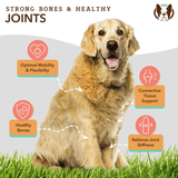 The key benefits of Natural Dog Company Liquid Glucosamine.