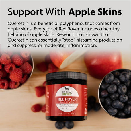 An infographic provided by Four Leaf Rover Explaining the benefits of apple skins in a dogs diets. Images of Four Leaf Rover - Red Rover and fresh apples, blueberries and raspberries