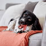 Yakers Strawberry Himalayan Yak Chew