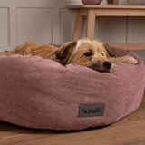 Close up of a brown dog laying in a Scruffs Oslo pet bed.