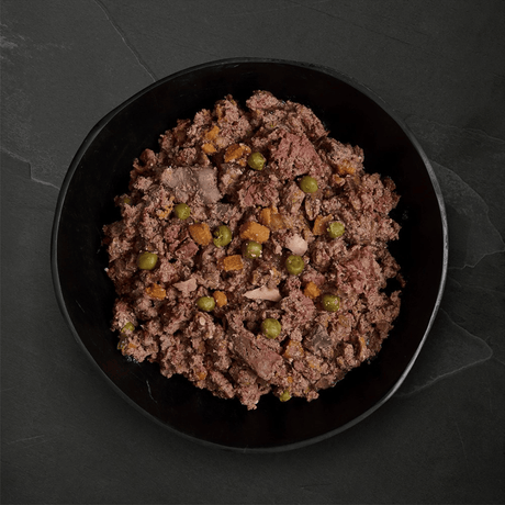 Canagan Shepherd's Pie Wet Dog Food 400g served in a bowl. A chunky mince like texture with veg.