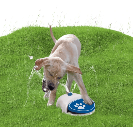 Cool Pets Splash Water Fountain