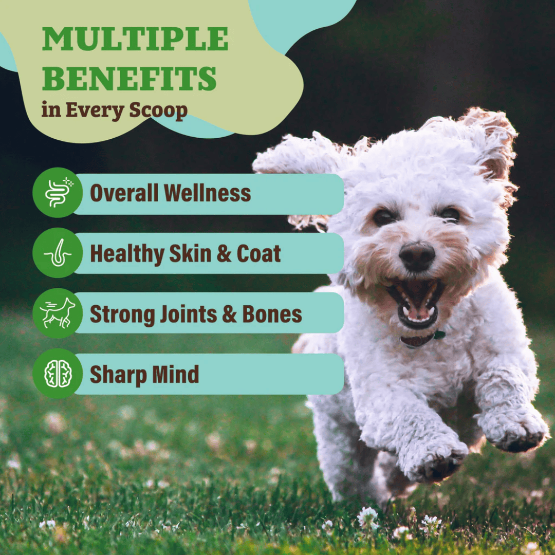 Natural Dog Company Super Greens Granules