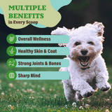 Natural Dog Company Super Greens Granules