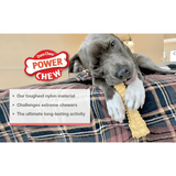 Nylabone Dura Chew Souper