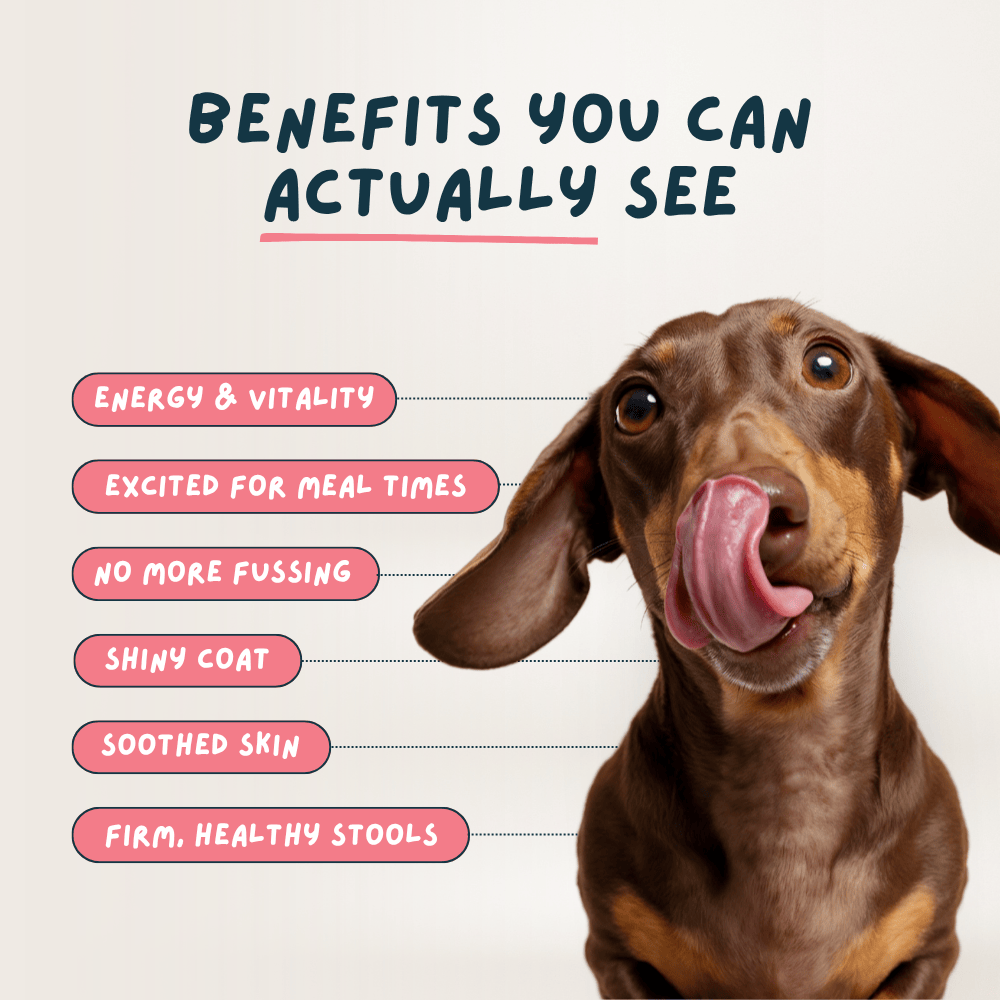 Wilsons Fish & Beef Fresh Dog Food